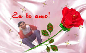 j'aime les fleure qui es rouge